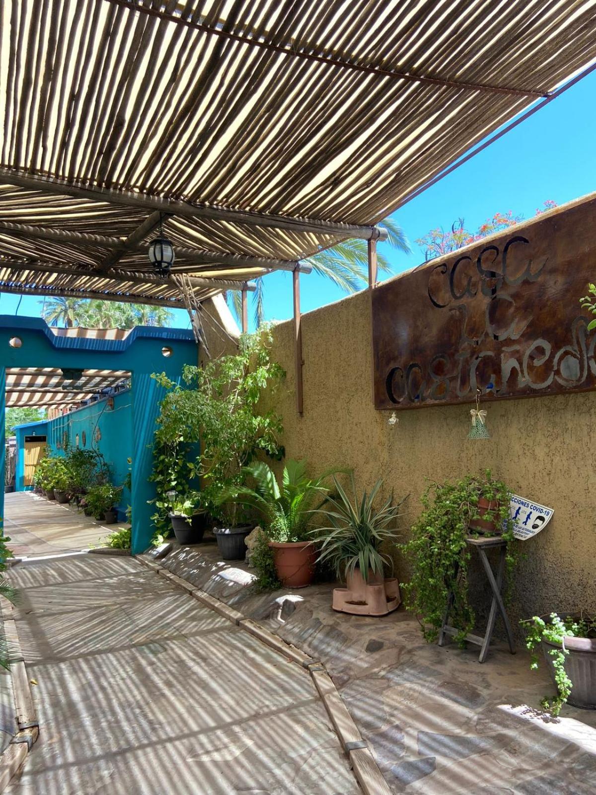 ホテル Casa La Castaneda ロレト エクステリア 写真