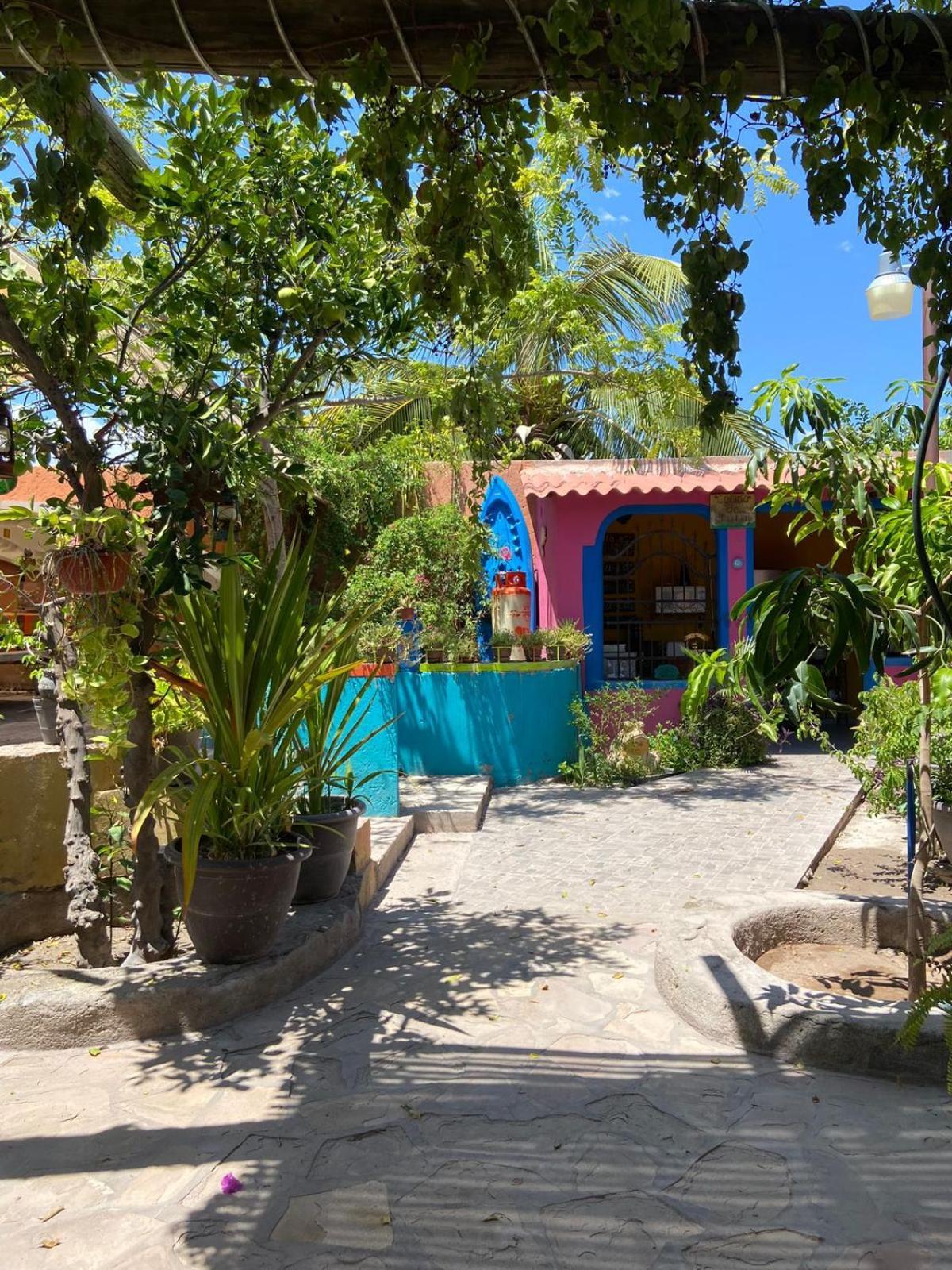 ホテル Casa La Castaneda ロレト エクステリア 写真